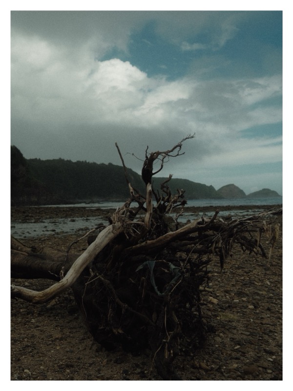 お気に入り写真 15 - Fujifilm X-Pro3で撮影された写真